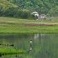 জলাভূমি সংরক্ষণ ও ব্যবহার প্রাসঙ্গিক ভাবনা