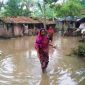 কেশবপুরে কয়েক দিনের ভারী বৃষ্টিতে দুই শতাধিক পরিবার পানিবন্দি