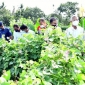 দক্ষিণাঞ্চলের লবণাক্ত এলাকায় কৃষিবিপ্লব ঘটবে    -কৃষিমন্ত্রী