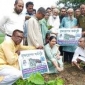 শ্রীপুরে তালবীজ রোপন কর্মসূচির উদ্বোধন