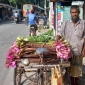 শাপলা ফুল বিক্রি করে সংসার চালান এরফান কাগুজী