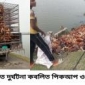 আশাশুনিতে পিকআপ উল্টে ২১ শত কক মুরগির মৃত