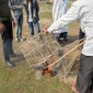 শীতে পরিযায়ী পাখির আগমনে পাইকগাছায় শিকারীদের দৌরাত্ম্য বেড়েছে