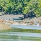 বিশ্ব ঐতিহ্যের সুন্দরবন